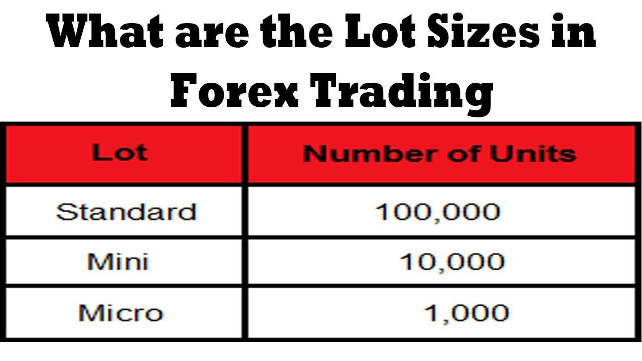 Lot size in forex