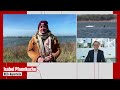 Walrettung in der Ostsee: „Makrelen vor das Maul geworfen!“ – BILD vor Ort bei Buckelwal Timmy!