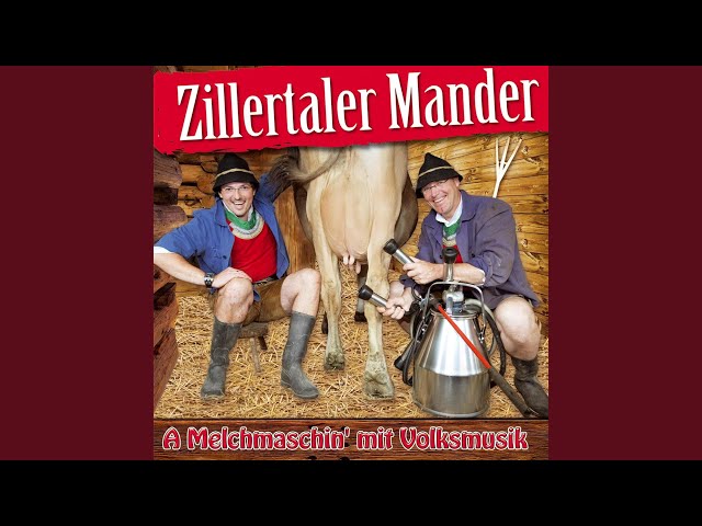 ZILLERTALER MANDER - BOARISCH AUF'N BIERTISCH