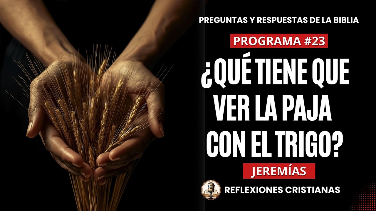 ¿Qué tiene que ver la paja con el trigo? | Preguntas y Respuestas de la Biblia