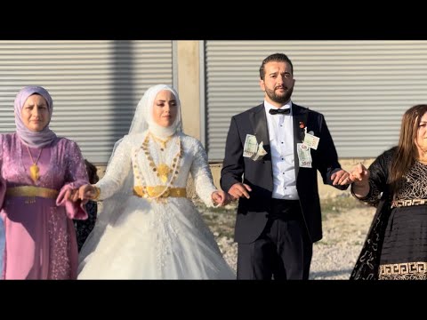 İmat rekani Dilekli Köyü Düğünü Yüksekova |Ongan Ailesi | 2023 HD