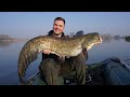Waller fressen wie verrückt! Angeln am Lago Superiore im Frühling