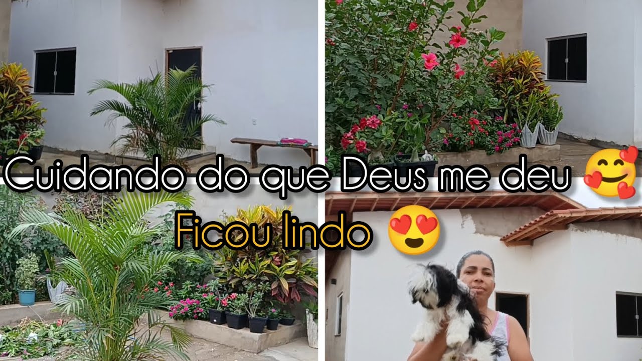 Fiz a podagem do jardim// limpei todo o quintal // ficou lindo 🥰🥰.