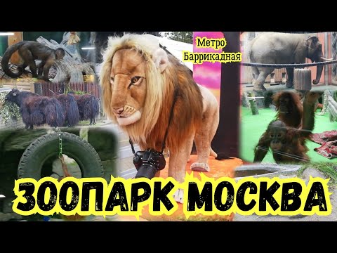 ЗООПАРК - МОСКВА метро Баррикадная.