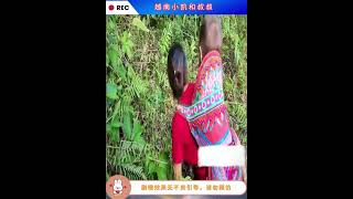 越南孤儿小凯和叔叔1集:#纪录片 #乡村故事 #越南生活记录 #荒野建造