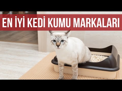 Video: Kedim Onayladı: En İyi Doğal Kedi Kumu Markası