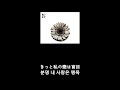 シド -  土曜日の女 가사 한글 자막 lyric sid