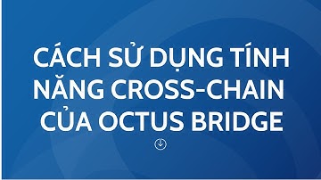 Review cách sử dụng tính năng cross chain và các tính năng khác của Octus Bridge