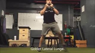 Famous Resilient Performance - Goblet Lateral Lunge Profile