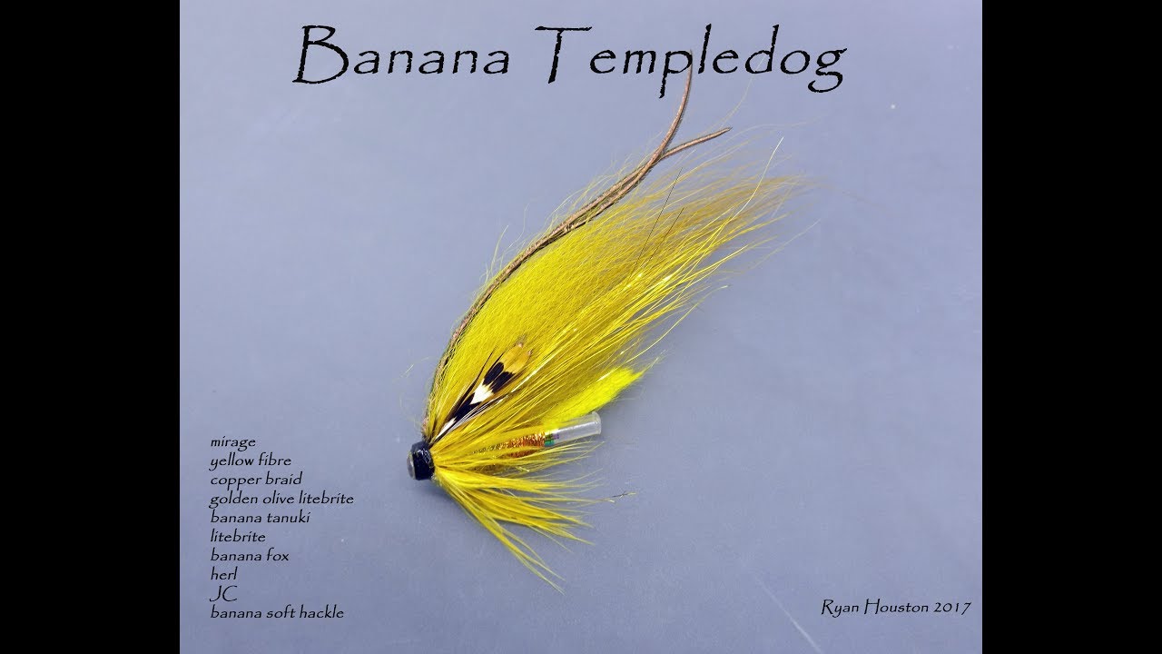 video phone beyonce mp3 TYING THE BANANA TEMPLEDOG WITH RYAN HOUSTON 2017