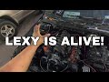 LEXY THE LS1 IS300 IS ALIVE!