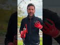 Forbice da potatura a batteria di @milwaukeetoolitalia  che devi avere! #MattTheFarmer #adv