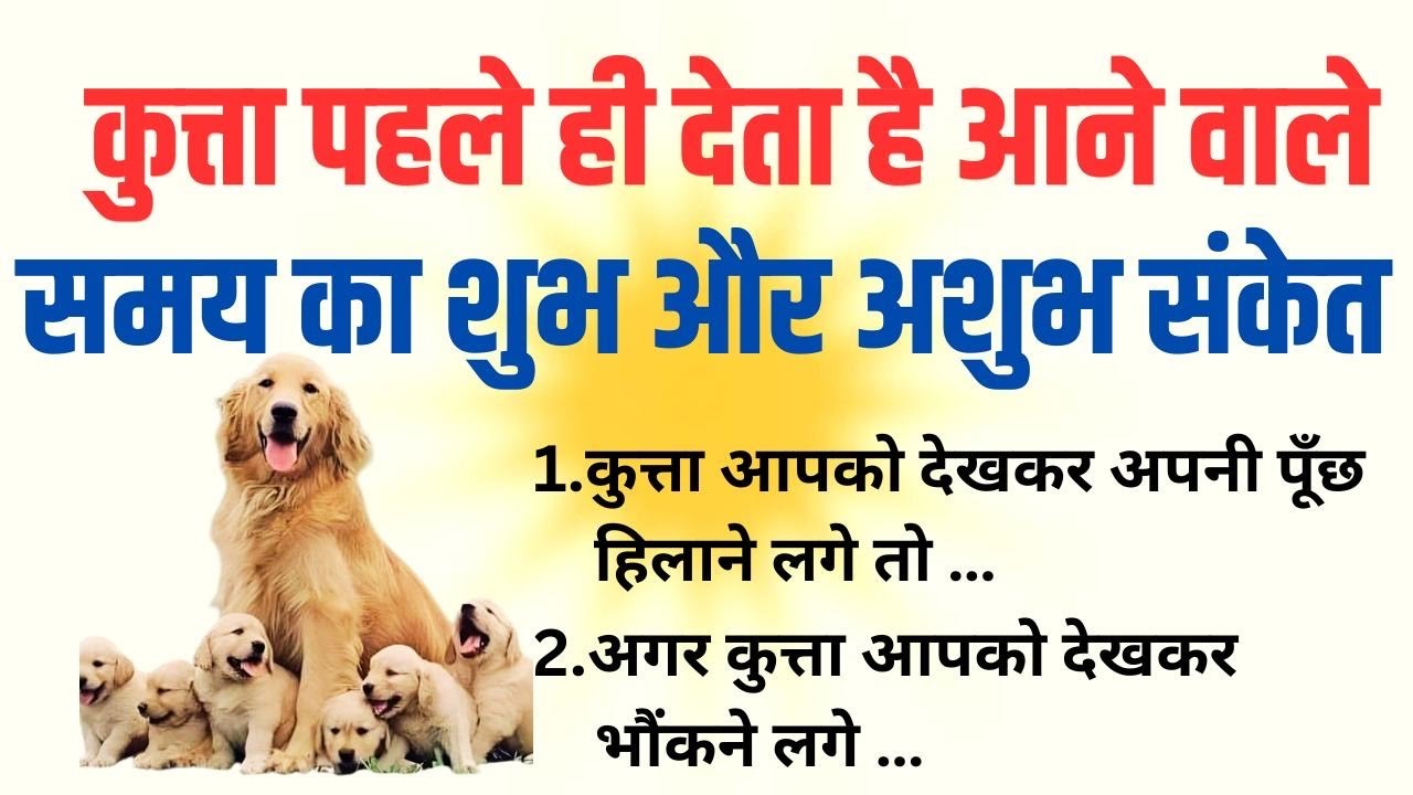 कुत्ता देता है भविष्य का शुभ और अशुभ संकेत |  Vastu Tips | Vastu Shastra