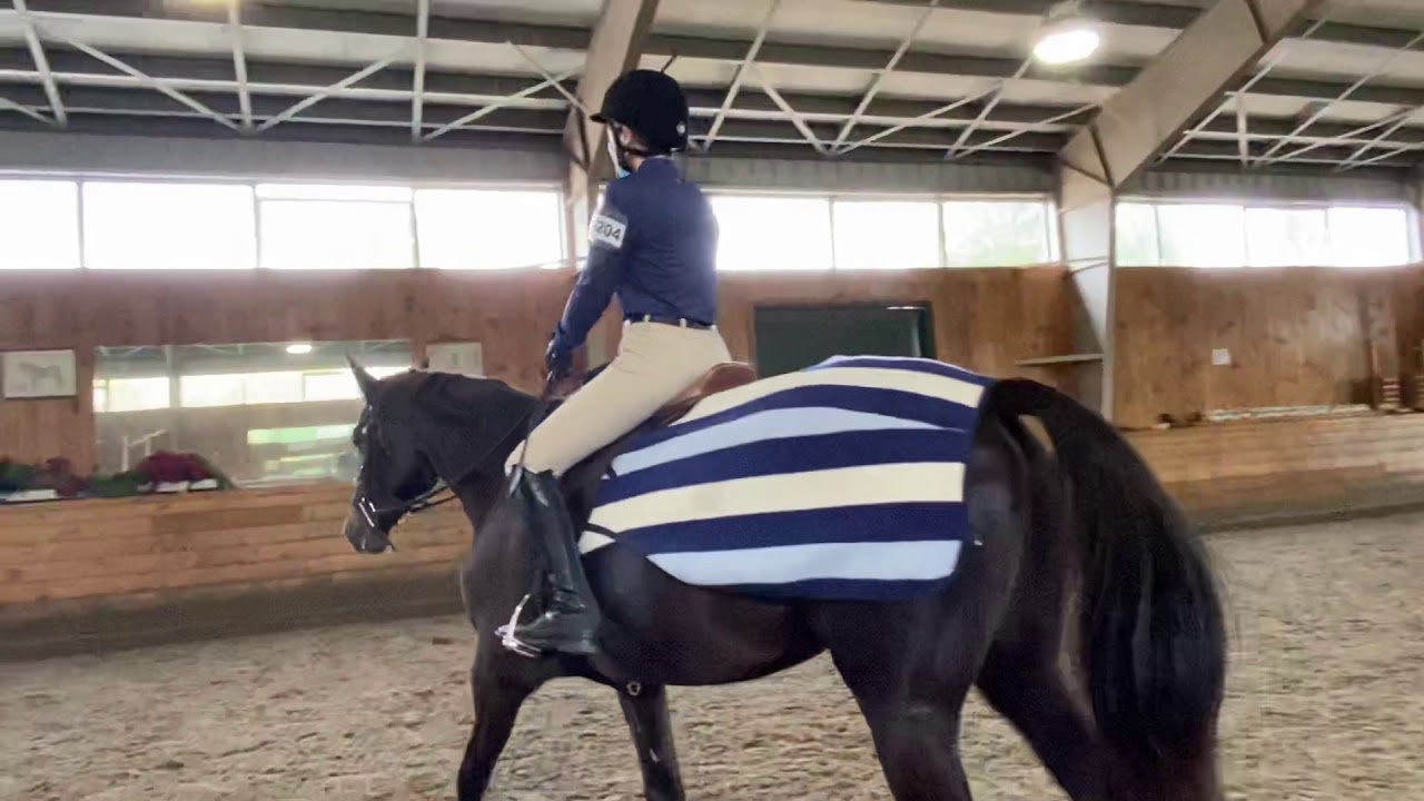 Advanced Beginner Poles 