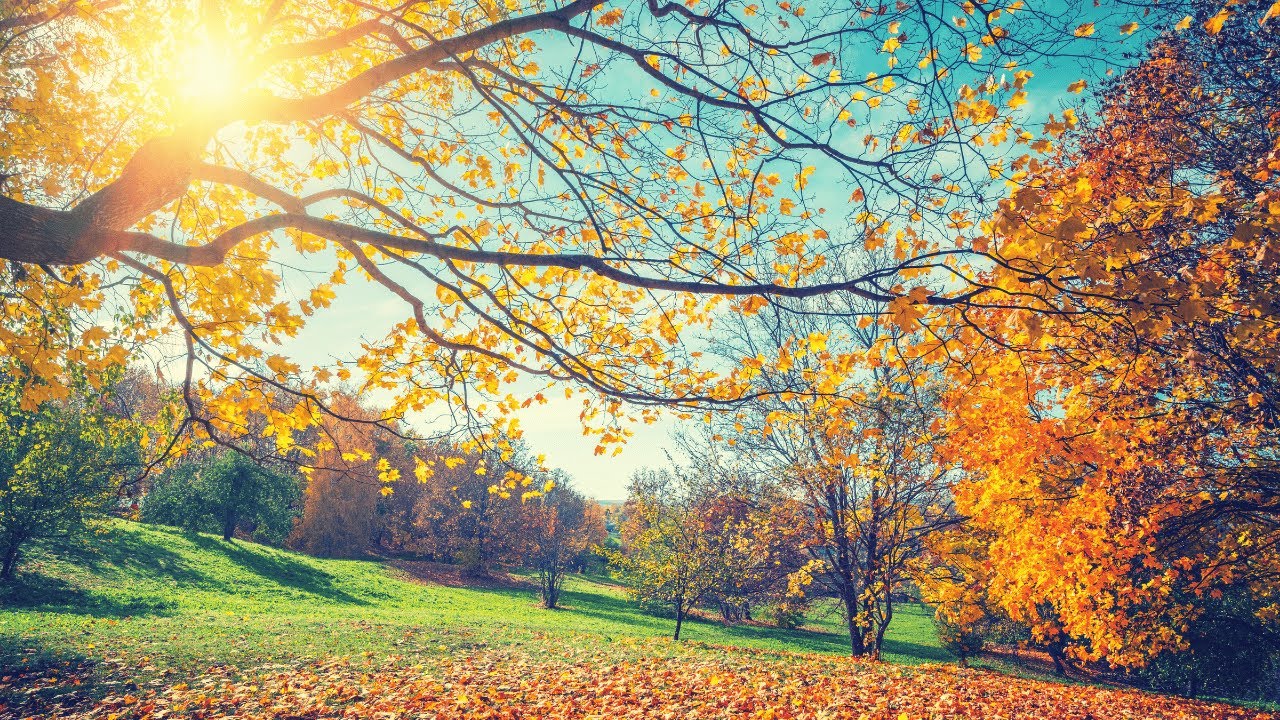Relaxing and Soothing Autumn Music for 5 Minutes Mindfulness Relaxing and Soothing Autumn Music for 5 Minutes Mindfulness