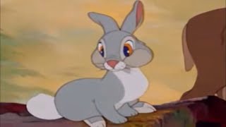 Bedknobs And Broomsticks - Tintin Turns Himself Into A Rabbit {PG-13}