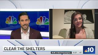 Philly Rescue Angels Looking to Find Homes for Pets in Need