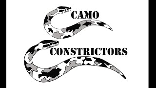 Ball Python Business Talk.  Different Ways To Start Up This Hobby As A Business.
