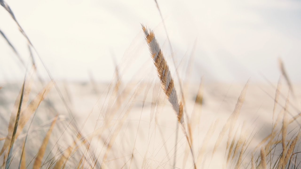 Evocation #1: Grace - Marco Santos feat. Vasilis Stefanopoulos & Ruben de Kemp