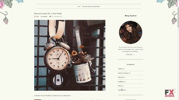 Geraldine - Vintage & Retro Blog WordPress Theme TMT | Free Template