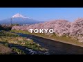 Tokyo Japan in 1 Minute