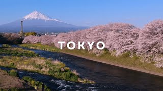 Tokyo Japan in 1 Minute