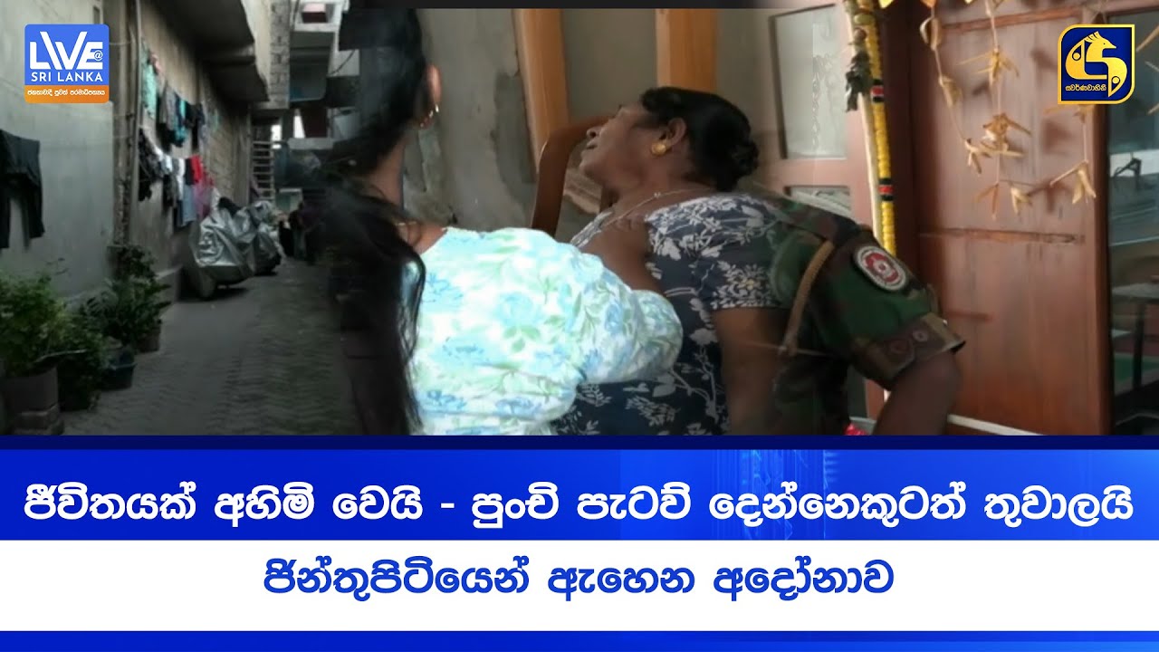 ජීවිතයක් අහිමි වෙයි - පුංචි පැටව් දෙන්නෙකුටත් තුවාලයි - ජින්තුපිටියෙන් ඇහෙන අදෝනාව