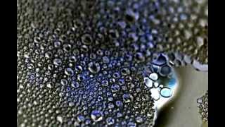 H3N3 For Flute, Alto And Guitar Composed By Daniel Real - Part 1 Mutation