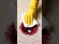 Carpet spot rescue: the blot method that prevents the brown ring