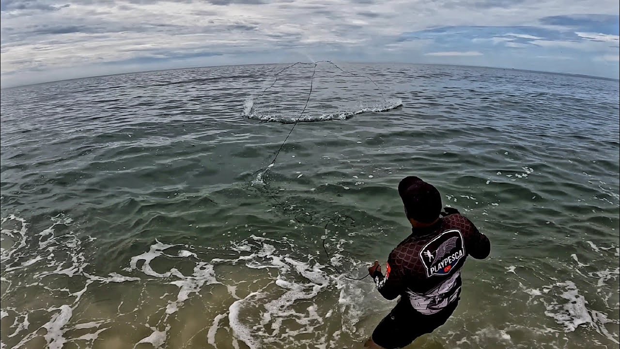Pescaria De Tarrafa Na Praia! Muitos Peixes Na Tarrafa 😲