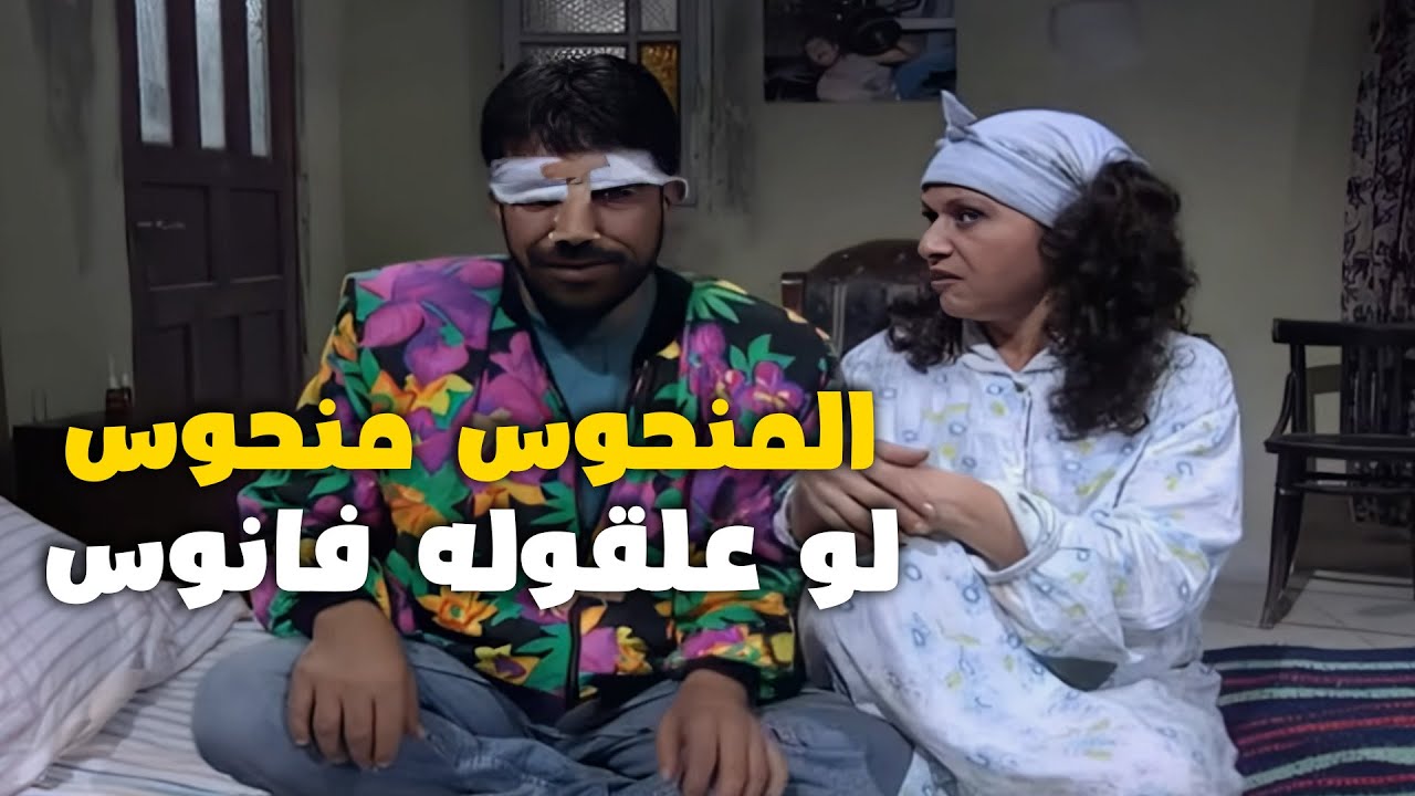 المنحوس منحوس لو علقوا على راسه فانوس 🤣 طارت طيارة عفيف وضاعت تحويشة بديع 💰