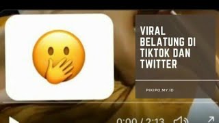 Belatung Viral Di Tiktok - belatung tiktok video - belatung video viral
