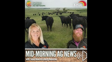 Mid-morning Ag News, November 24, 2025: A look at steer prices for this year and next