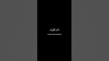كروما شاشة سوداء قرآن كريم 🍀 محمد المنشاوي🍀 سورة الواقعة  #تلاوة_هادئة #اكسبلور #راحة_نفسية