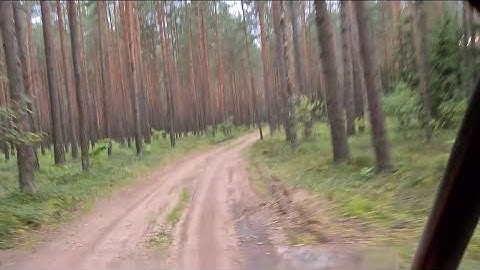 Turbo Explorer: Roaring Through the Forest - Polaris RZR Turbo Conquers the Wild @PolarisRZRTurbo