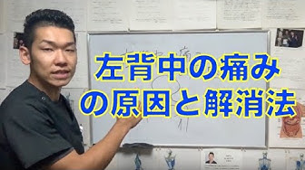 背中の痛み Youtube