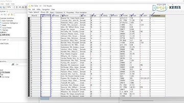 [KNIME 실습] 분류(Classification) - 컬럼과 데이터 채우기
