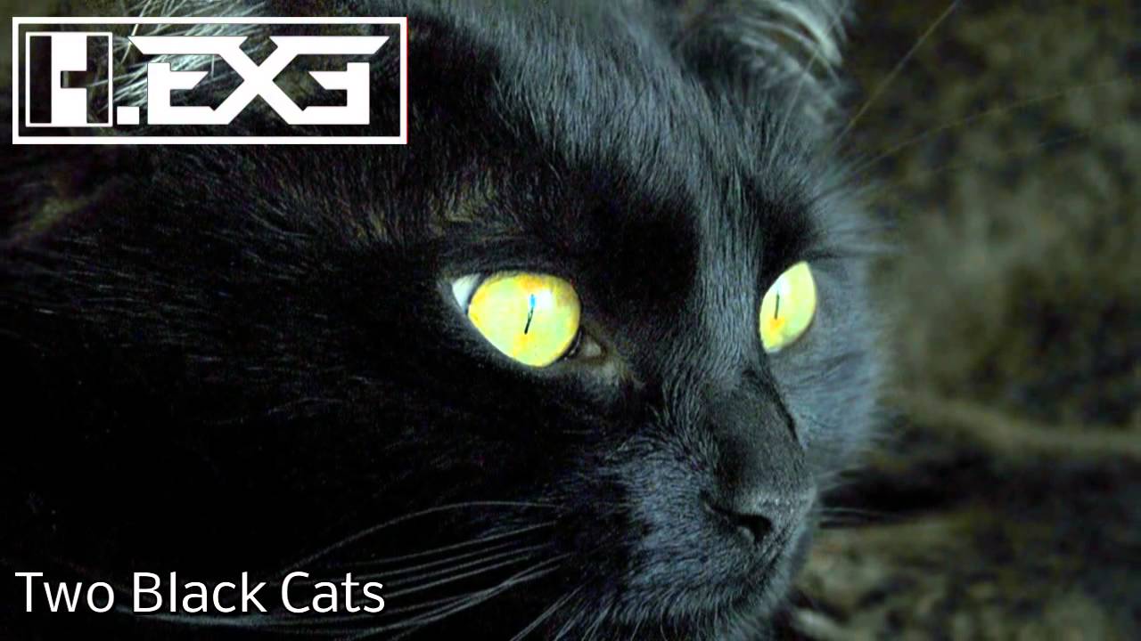 H.EXE - Two Black Cats akkoorden
