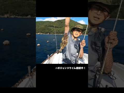 A fishing tournament where only one person caught a huge filefish. / ひとりだけカワハギを爆釣した釣り大会。