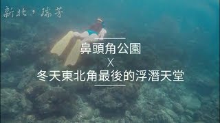 冬天東北角最後的浮潛天堂-鼻頭角｜自由潛水｜攻略｜Vlog26