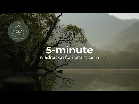 5-Minute Serenity: Guided