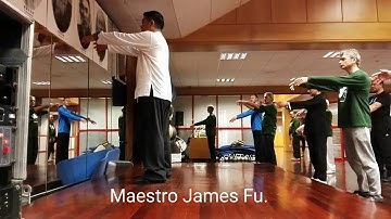FORMA DE 7 MOVIMIENTOS YANG TAICHI TRADICIONAL, MAESTRO JAMES FU