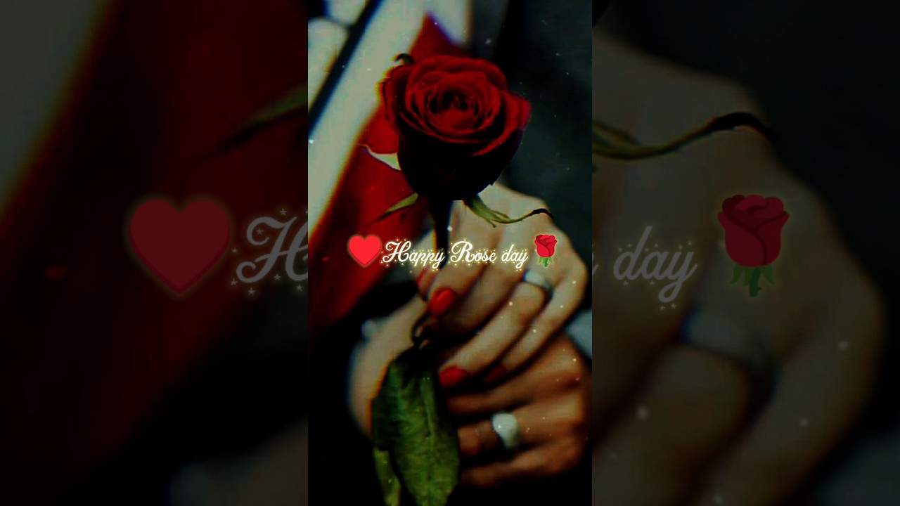 Happy Rose day new whatsapp status ♥️😘.2024 New Rose day status ♥️🌹.
