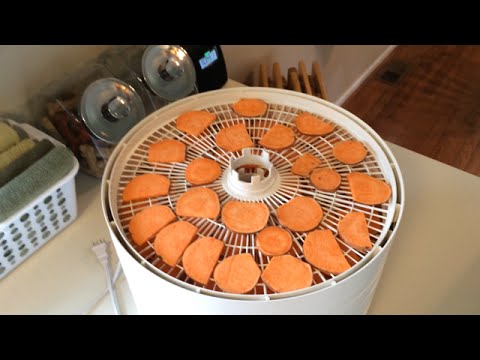 dehydrated-sweet-potato-dog-treats