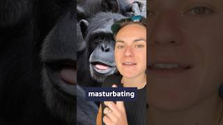 What Can We Learn From Masturbating Monkeys? 