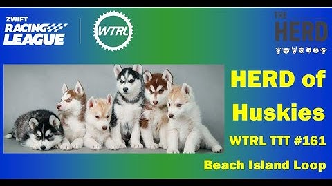 Zwift Racing League - TTT #162 Knickerbocker Reverse