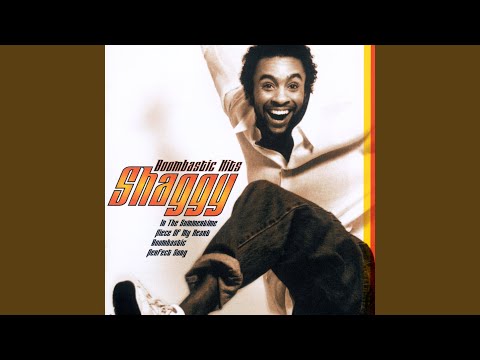 Putar One Burner - Shaggy