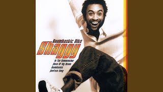 One Burner - Shaggy