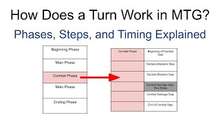 Celebrity How Turns Work in MTG | Phases, Steps, & Priority Explained Wealth