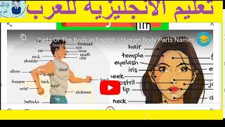 أعضاء الجسم في اللغة الإنجليزية